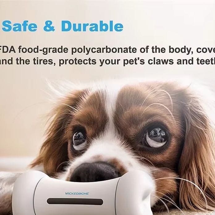 WickedBone smart pet toy