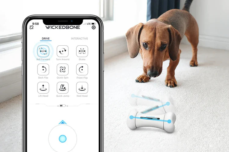 WickedBone smart pet toy