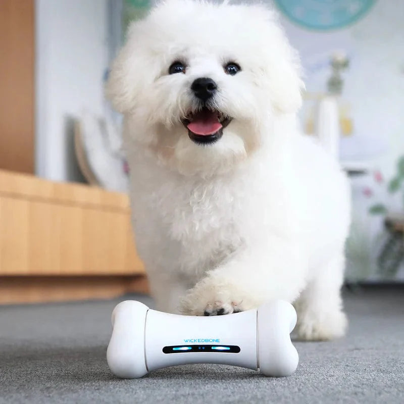 WickedBone smart pet toy