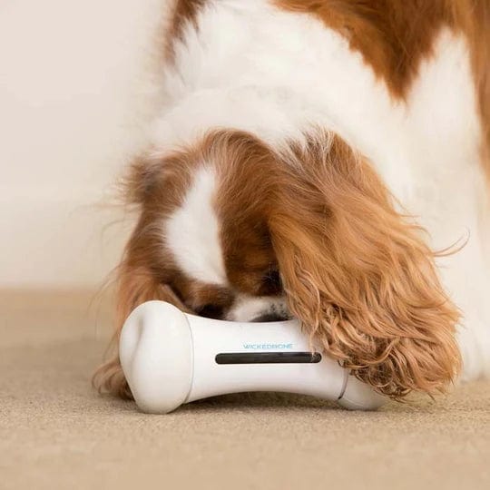 WickedBone smart pet toy